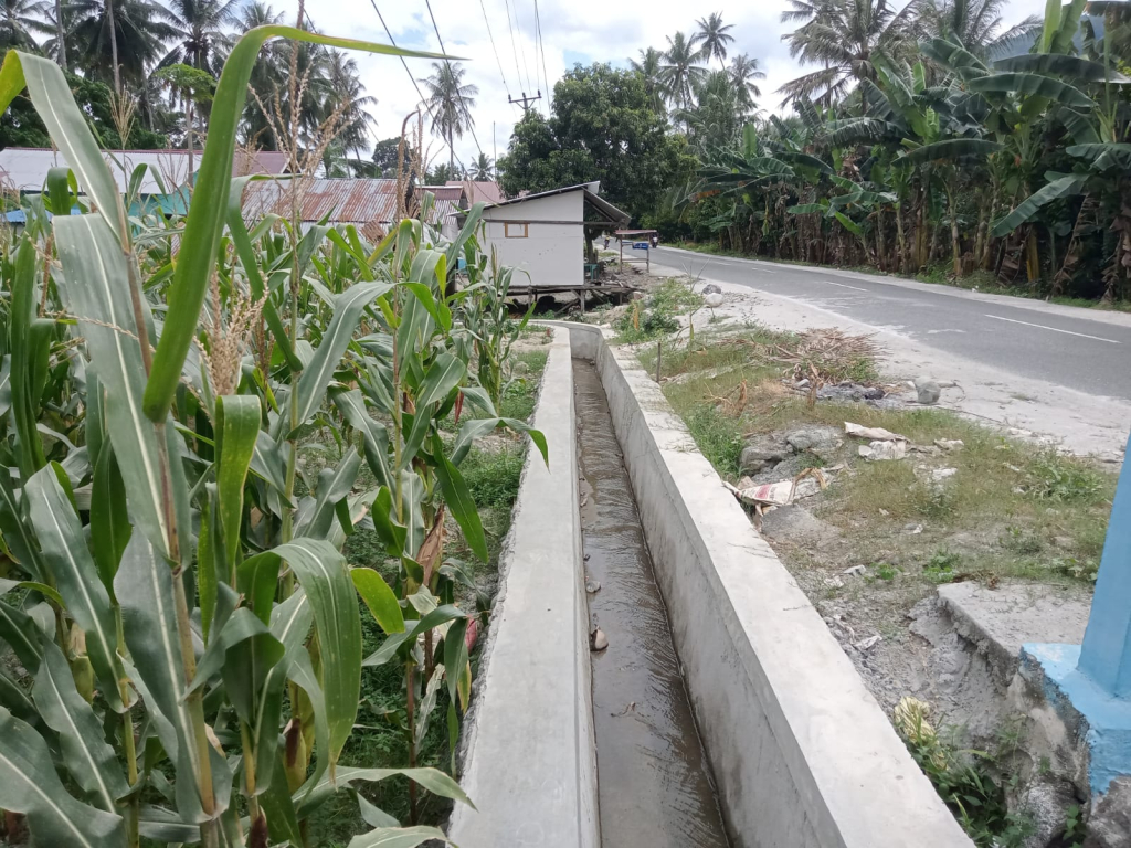 Progres pembangunan dan rehabilitasi irigasi yang sudah bisa dinikmati oleh warga untuk mengairi lahan persawahan dan kebun (foto : agus_beritaformat)