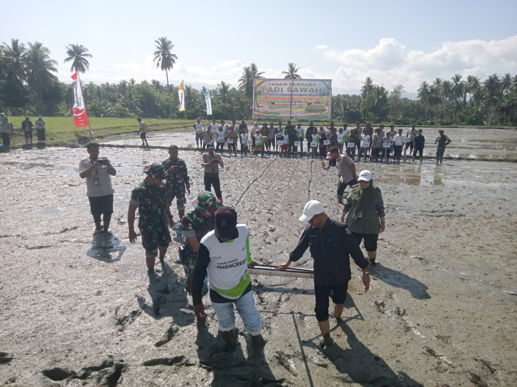 Bupati Sigi, Rizal Intjenae, ikuti tanam perdana padi sawah di lahan seluas 3 hektare milik Kelompok Tani Mutiara II, Desa Sibonu (foto : agus_beritaformat)
