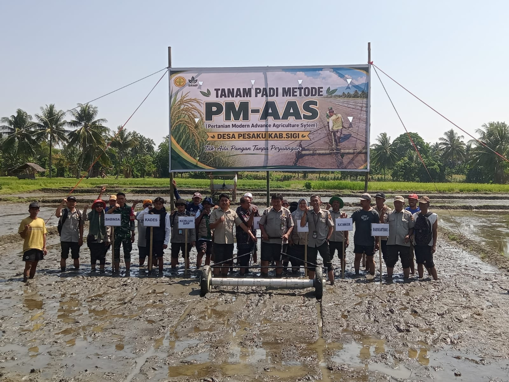 Pilot project budidaya padi modern di Desa Pesaku, Kecamatan Dolo Barat (foto : agus_beritaformat)